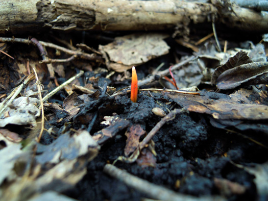 120408-01.jpg