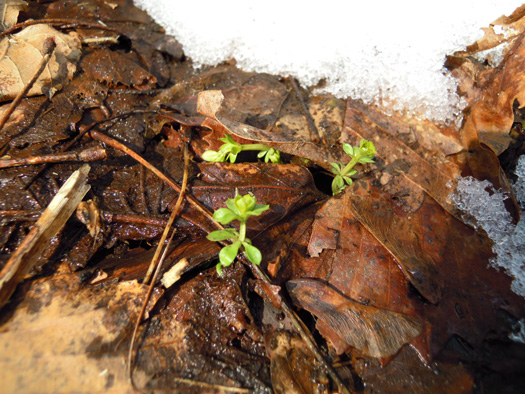 120408-12.jpg