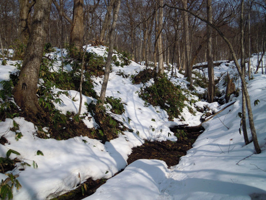 120408-13.jpg