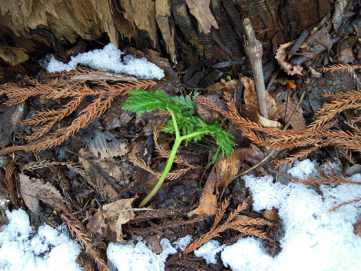120408-14.jpg