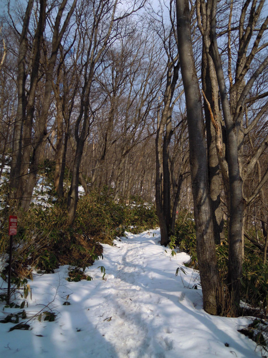 120408-15.jpg