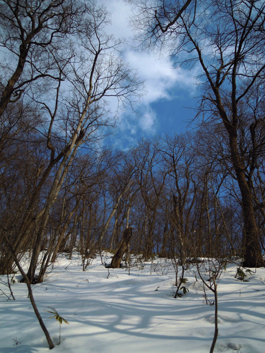 120408-16.jpg