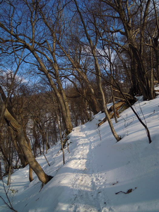 120408-18.jpg