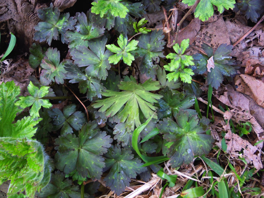 120409-05.jpg