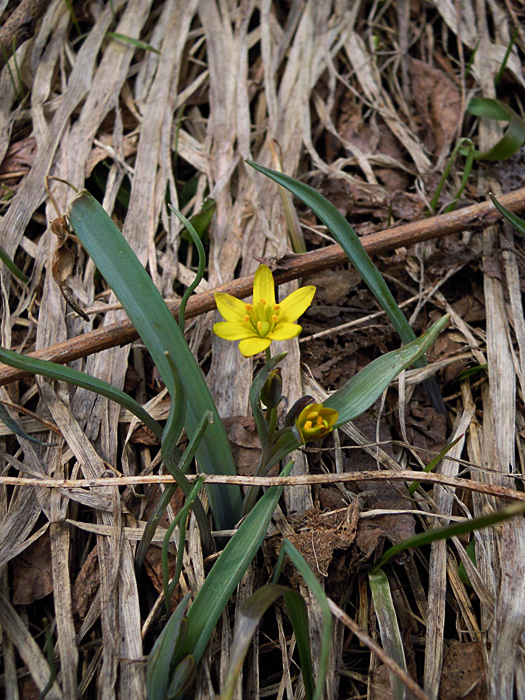 120410-01.jpg