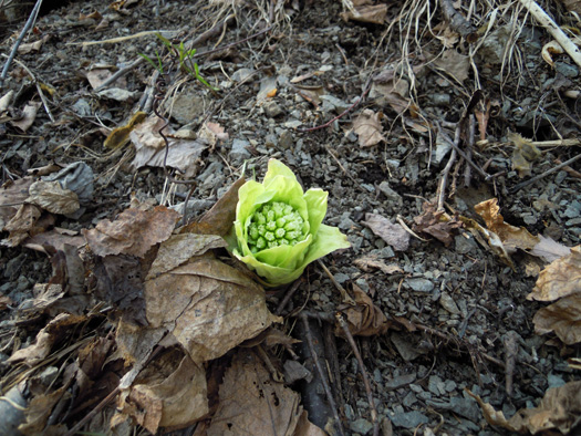 120410-07.jpg