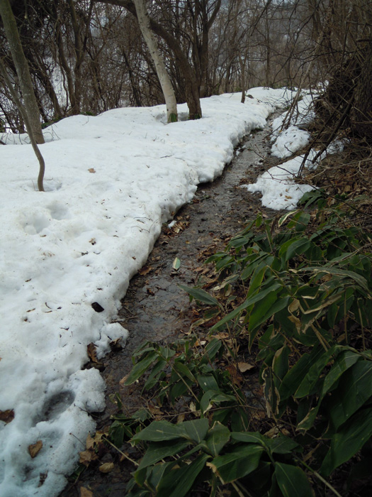 120410-08.jpg