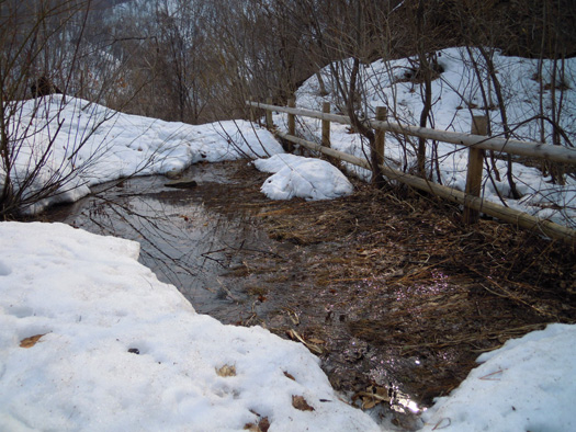 120410-09.jpg