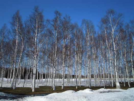 120412-01.jpg