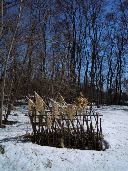 120412-03.jpg