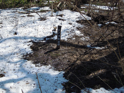 120412-04.jpg