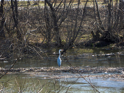 120412-07.jpg