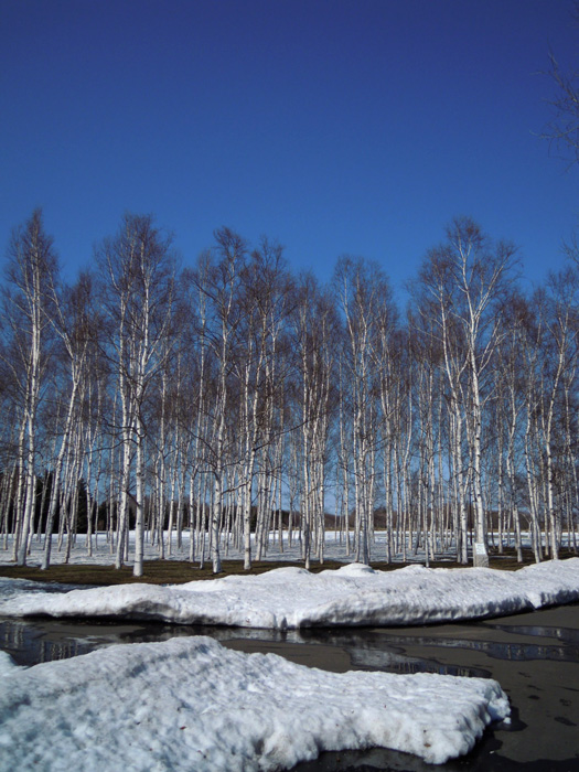 120412-10.jpg