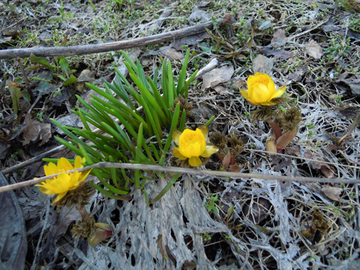 120412-13.jpg