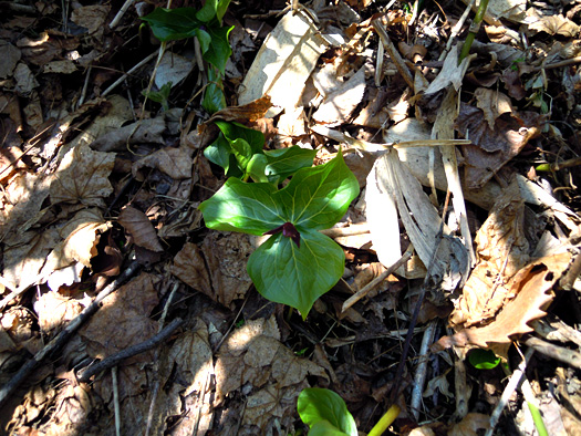 120414-01.jpg