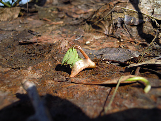 120414-05.jpg