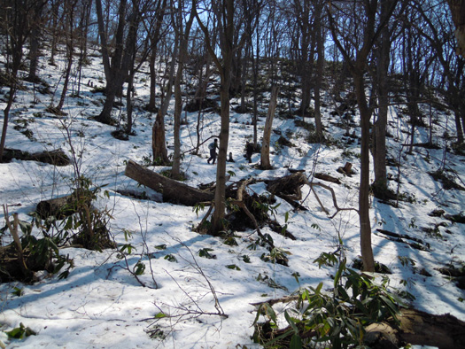 120414-06.jpg