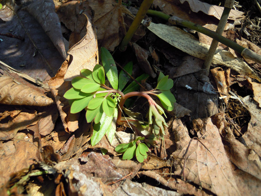 120414-07.jpg