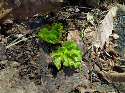 120414-09.jpg