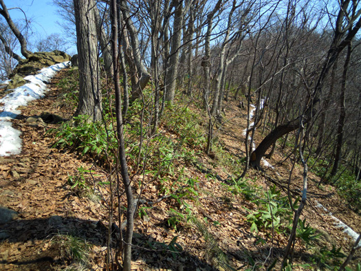 120414-10.jpg