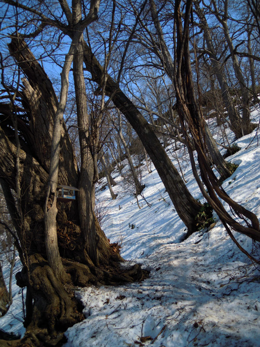 120414-12.jpg