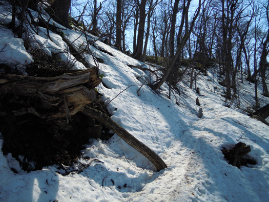 120414-13.jpg