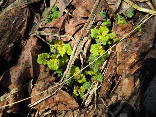 120414-15.jpg