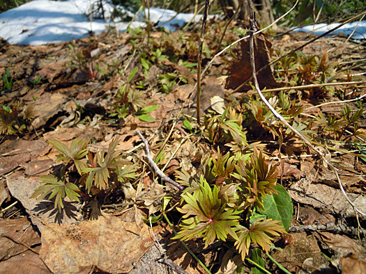120414-16.jpg