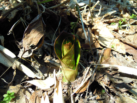 120414-19.jpg