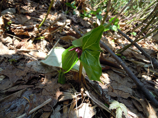 120414-20.jpg