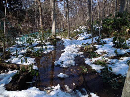 120414-21.jpg