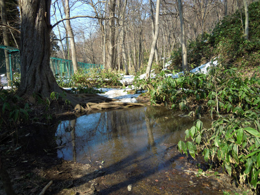 120414-23.jpg