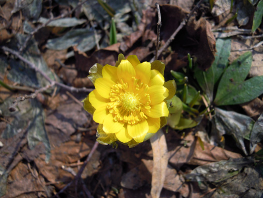 120414-25.jpg