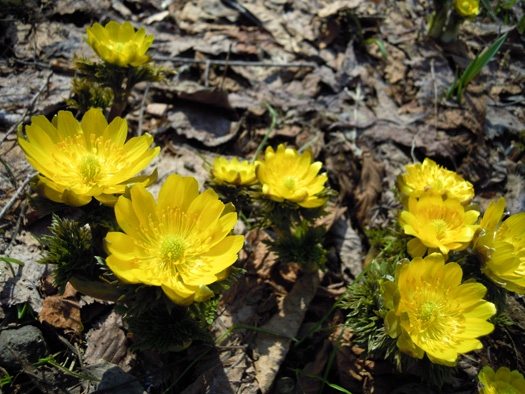 120414-26.jpg