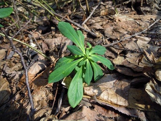 120415-04.jpg