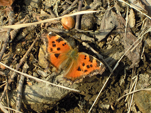 120415-12.jpg