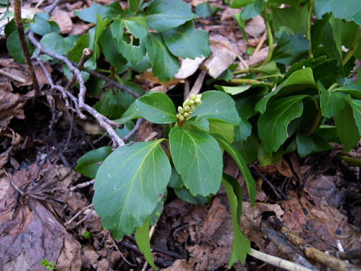 120415-16.jpg