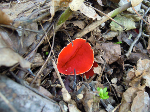 120415-18.jpg