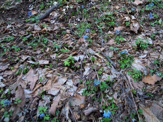 120415-19.jpg
