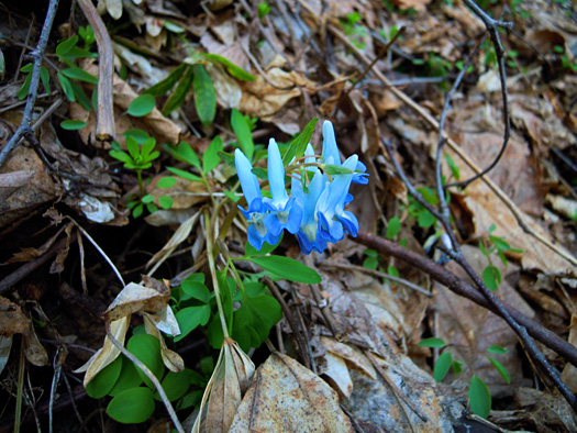 120415-20.jpg