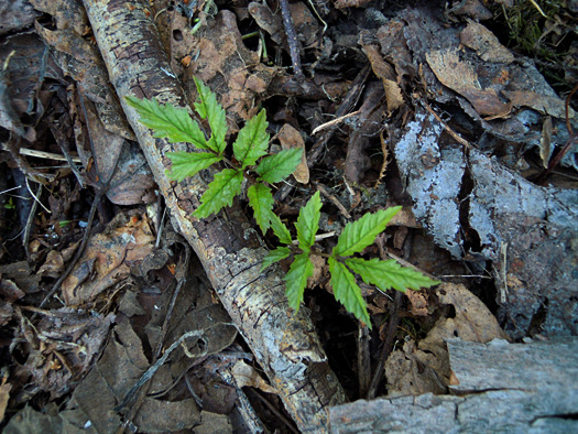 120415-22.jpg