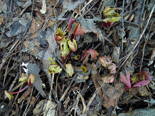 120415-24.jpg