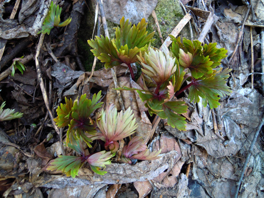 120415-25.jpg