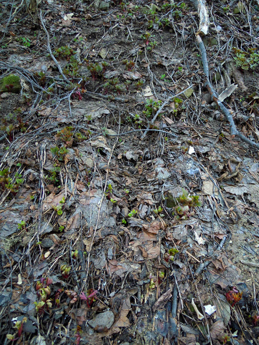 120415-27.jpg