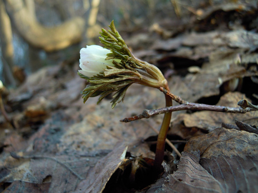 120415-31.jpg
