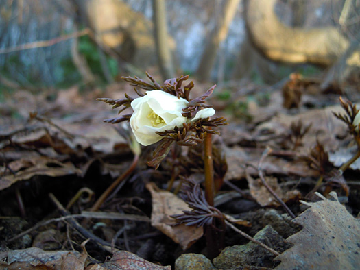 120415-33.jpg