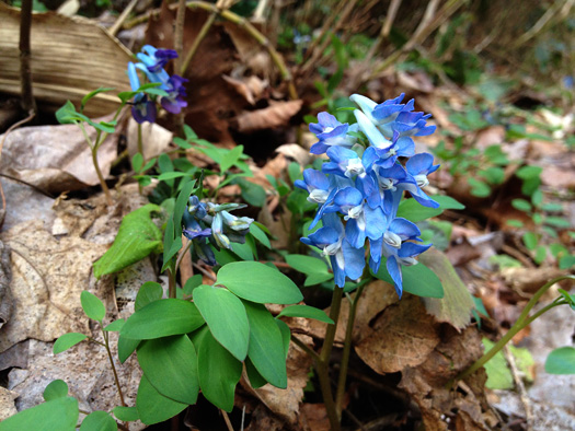 120419-01.jpg