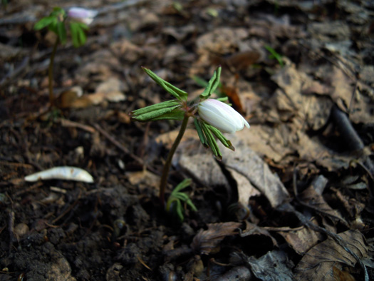 120419-02.jpg