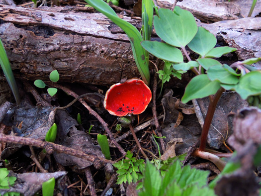 120419-03.jpg