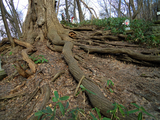 120419-05.jpg